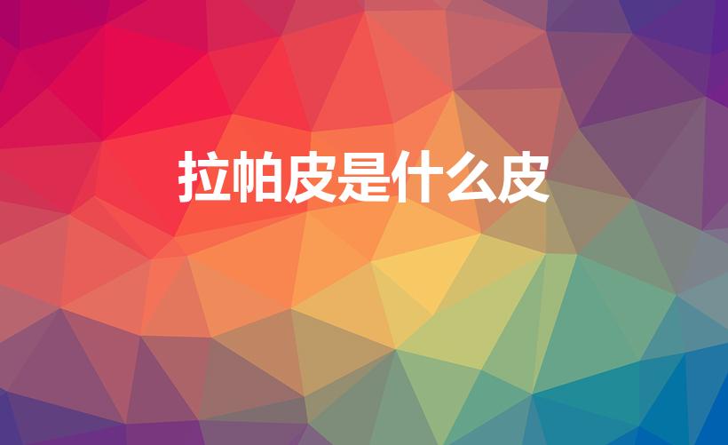 拉帕皮是什么皮（纳巴革是皮还是革）