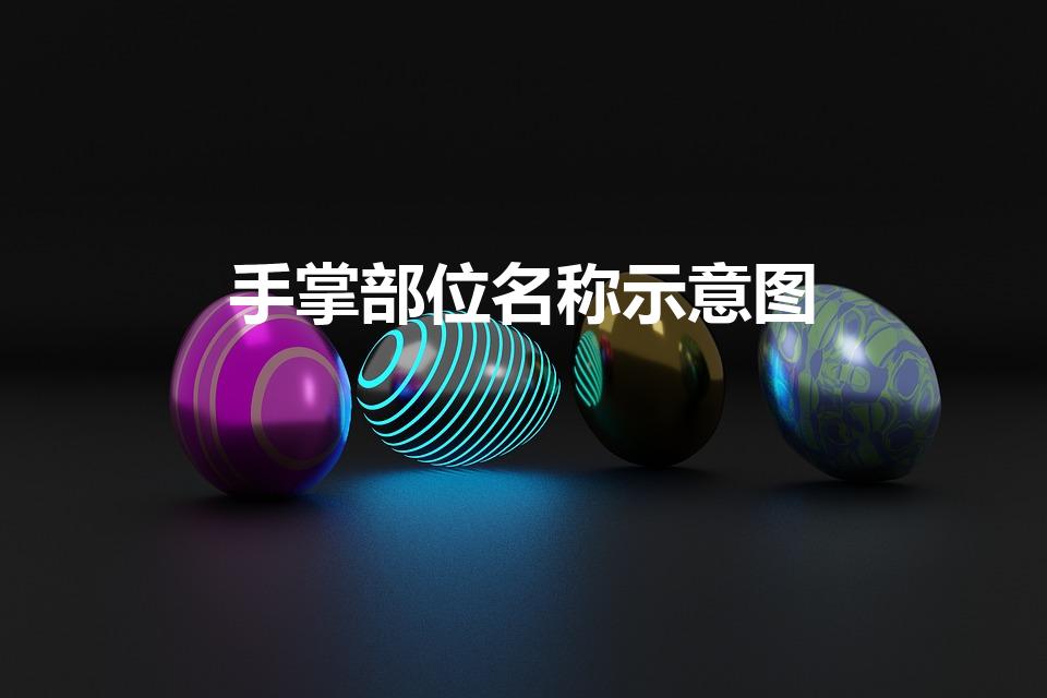手掌部位名称示意图（手的结构图和名称是什么）