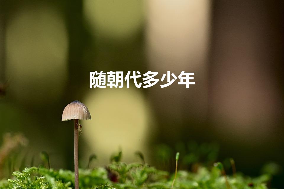 随朝代多少年（隋朝多少年）