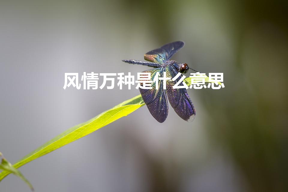 风情万种是什么意思（风情万种的意思是什么）