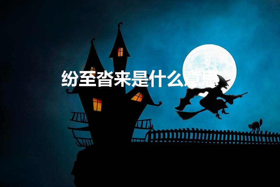 纷至沓来是什么意思（纷至沓来是什么意思解释）