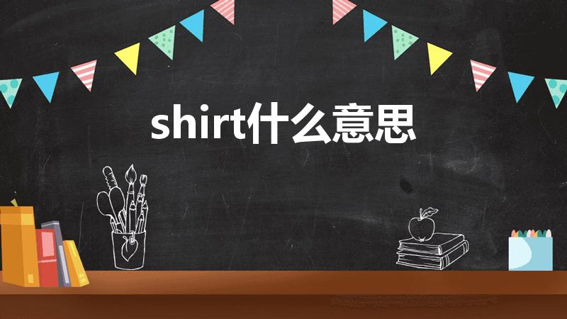 shirt什么意思（shirt是什么意思）