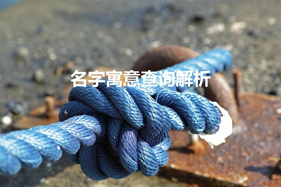 名字寓意查询解析（姓名寓意查询免费,名字意义查询）