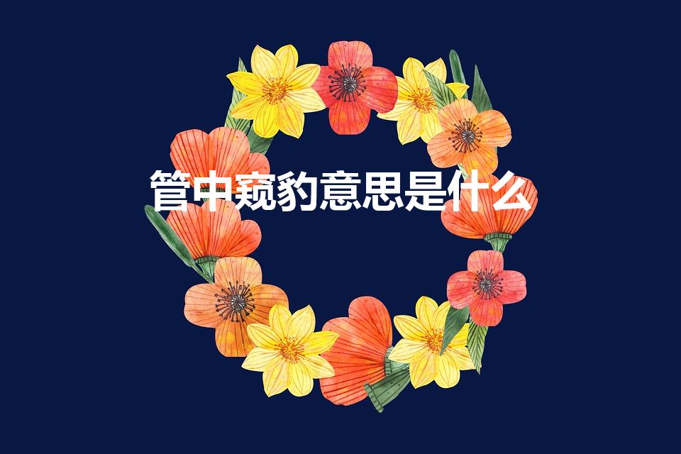 管中窥豹意思是什么（管中窥豹的意思解释）