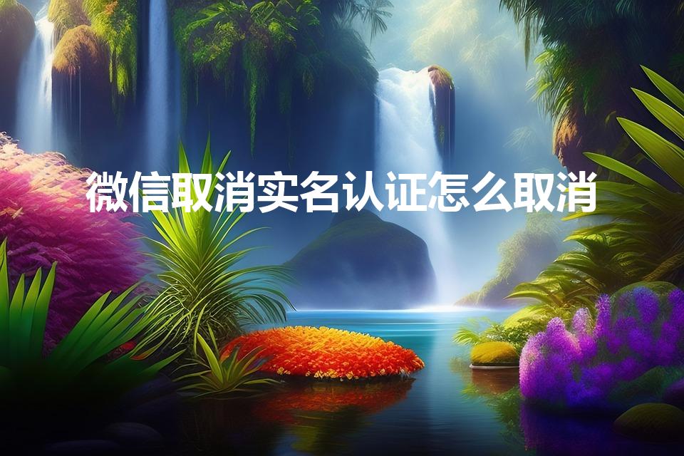 微信取消实名认证怎么取消（微信怎样解除实名认证）