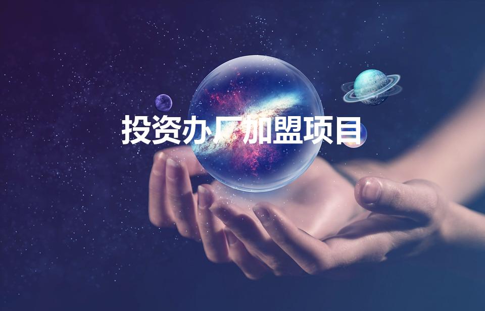 投资办厂加盟项目（小型投资办厂项目有哪些）
