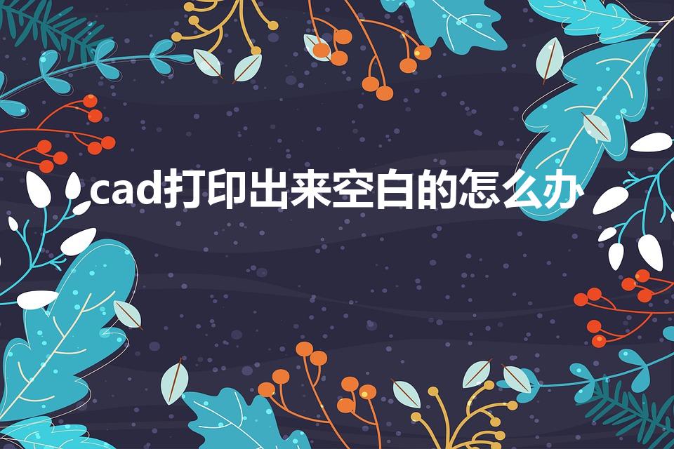 cad打印出来空白的怎么办
