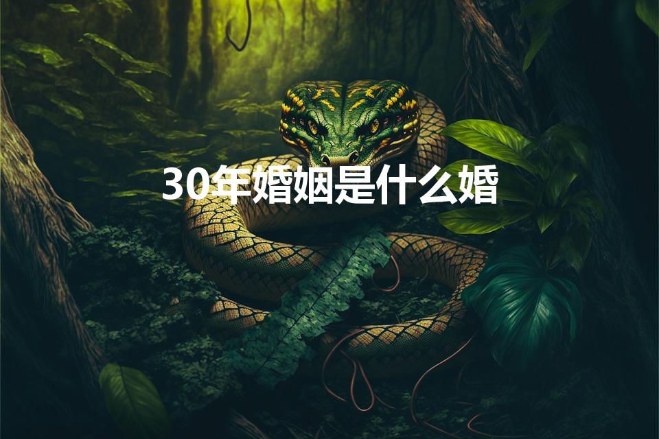 30年婚姻是什么婚（三十年是什么婚）