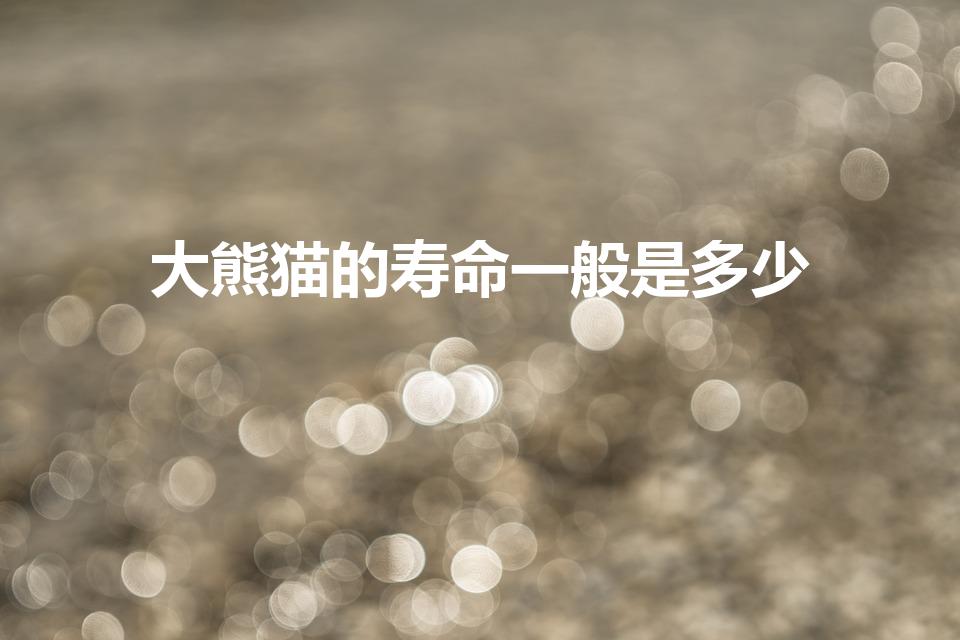 大熊猫的寿命一般是多少（大熊猫的寿命是多少年）