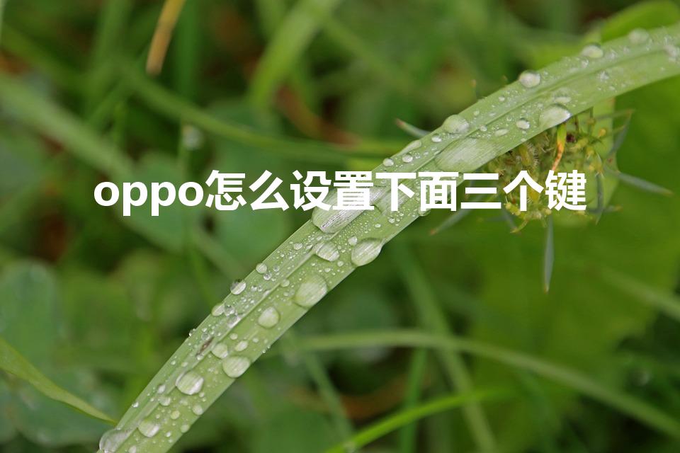 oppo怎么设置下面三个键