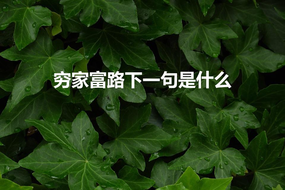 穷家富路下一句是什么（穷什么什么什么的成语）