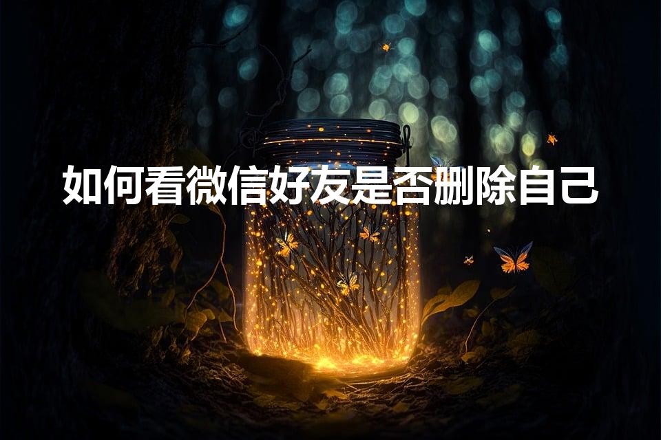 如何看微信好友是否删除自己