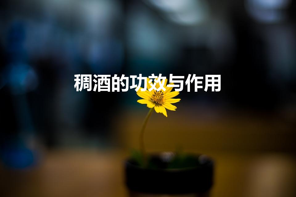 稠酒的功效与作用（陕北稠酒的功效与作用有哪些）