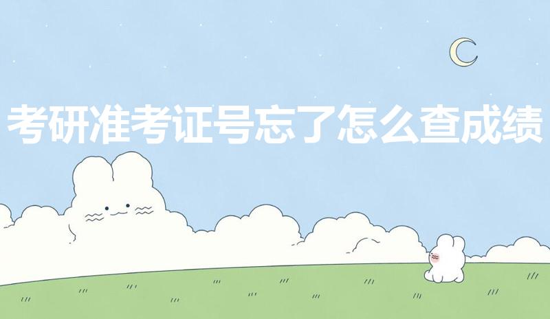 考研准考证号忘了怎么查成绩