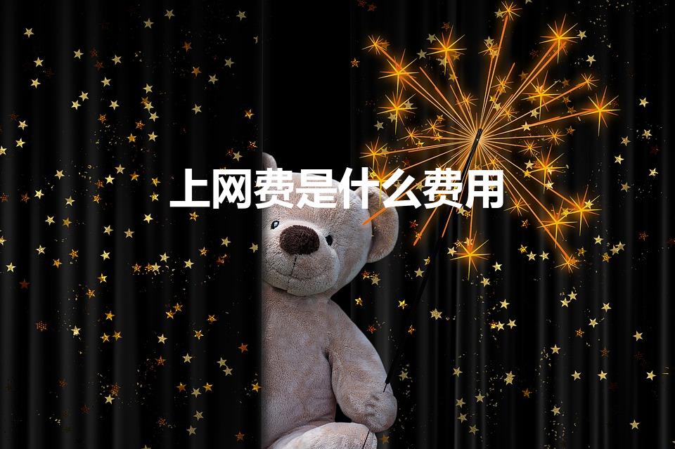 上网费是什么费用（上网费是什么意思 为什么扣我话费）
