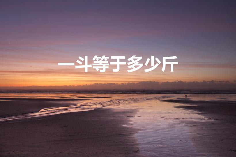 一斗等于多少斤（一斗是多少斤）