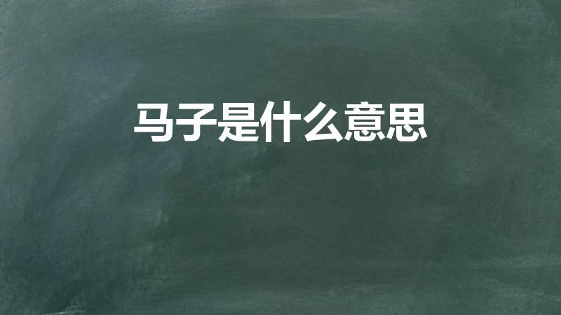 马子是什么意思（男人说女人是马子,什么意思）