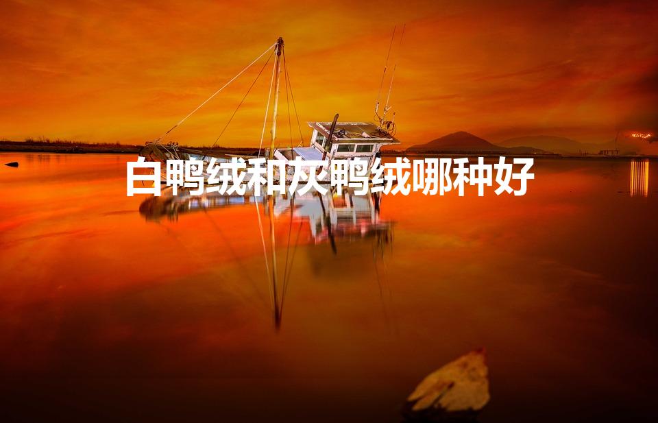 白鸭绒和灰鸭绒哪种好（白鸭绒和灰鸭绒哪个好）