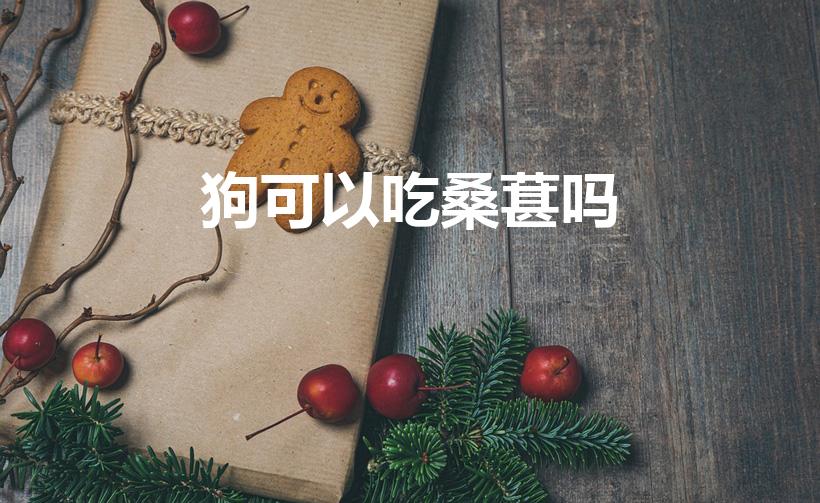 狗可以吃桑葚吗（狗能吃桑椹吗）