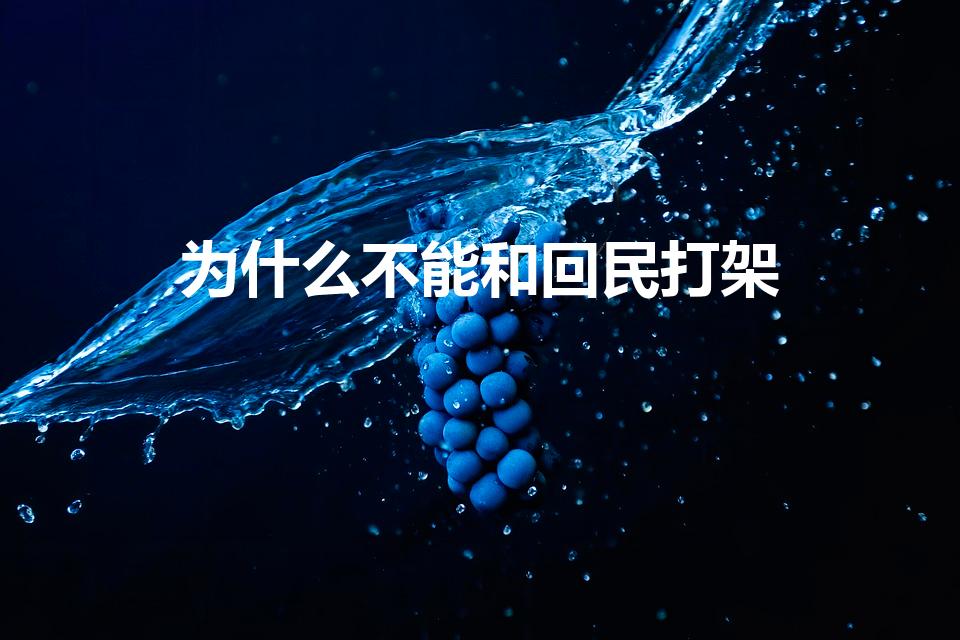 为什么不能和回民打架（为什么不愿意跟回民打交道）