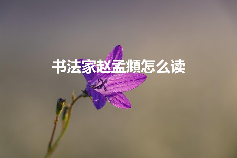 书法家赵孟頫怎么读（赵孟頫怎么读）