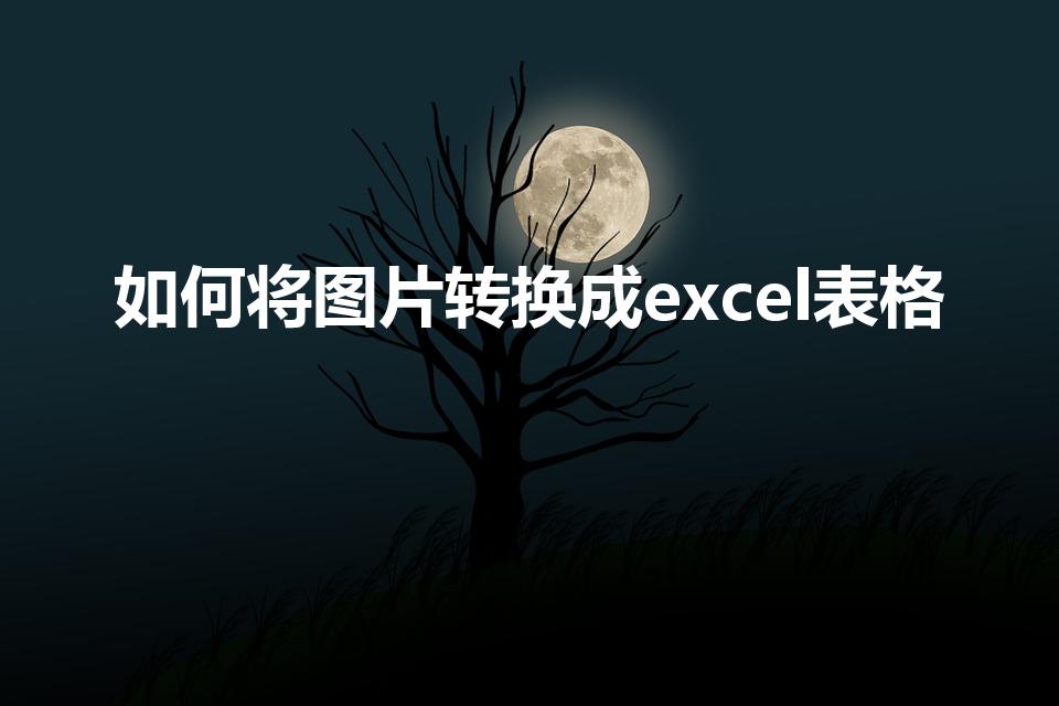 如何将图片转换成excel表格
