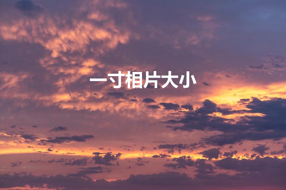 一寸相片大小（一寸照片多大尺寸呢）
