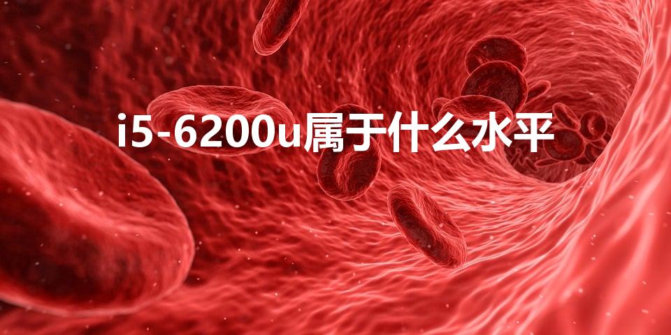 i5-6200u属于什么水平（i5 6200u性能如何）