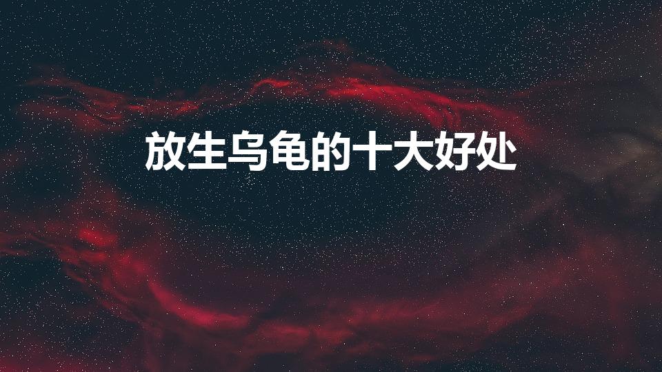 放生乌龟的十大好处（放生乌龟的十种功德）