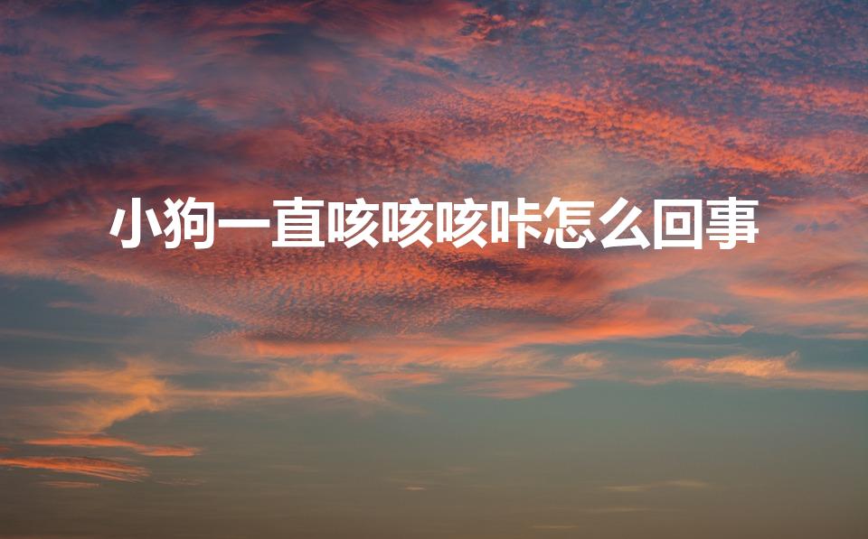 小狗一直咳咳咳咔怎么回事（狗狗咳咳咳咔怎么回事）