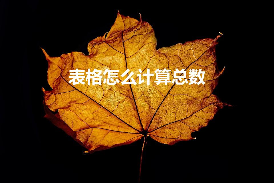 表格怎么计算总数（Excel的表格怎么怎么算出总数）