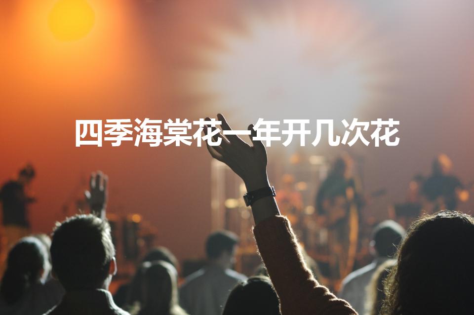 四季海棠花一年开几次花（四季海棠几月份开花）
