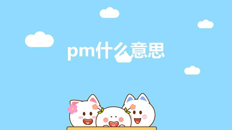 pm什么意思（pm是什么意思）