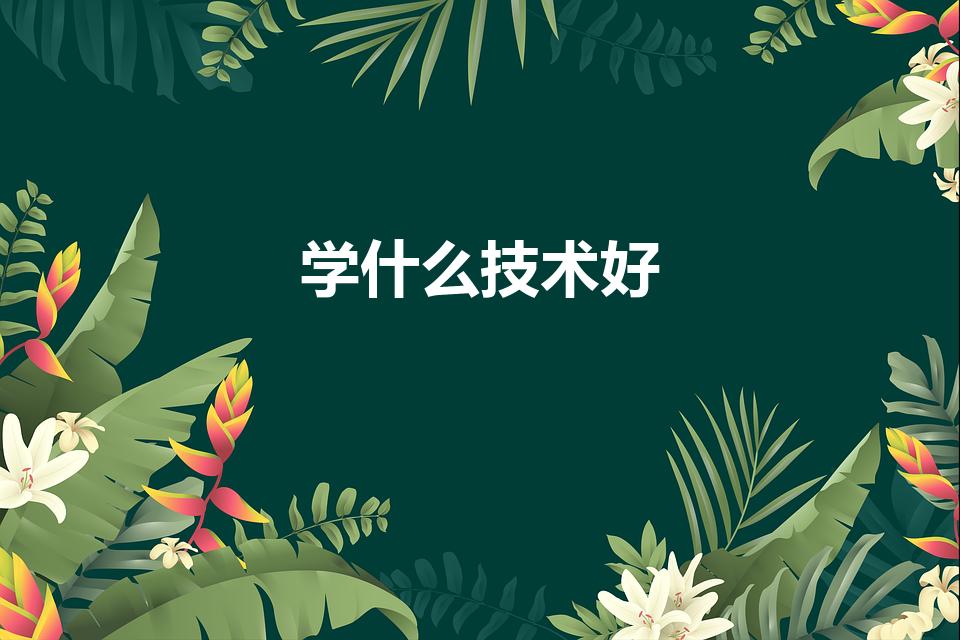 学什么技术好（学什么技术比较好）