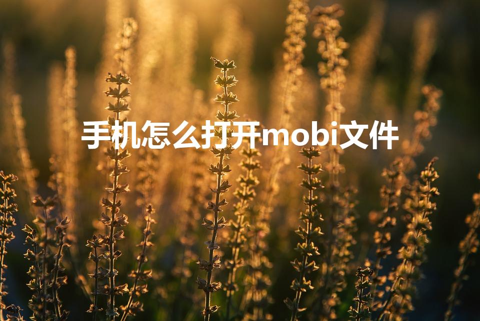 手机怎么打开mobi文件（手机如何打开mobi格式文件）