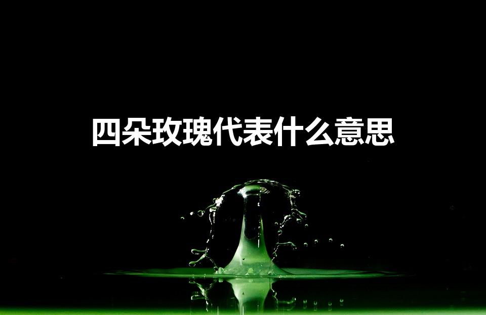 四朵玫瑰代表什么意思（送4支玫瑰是什么意思）