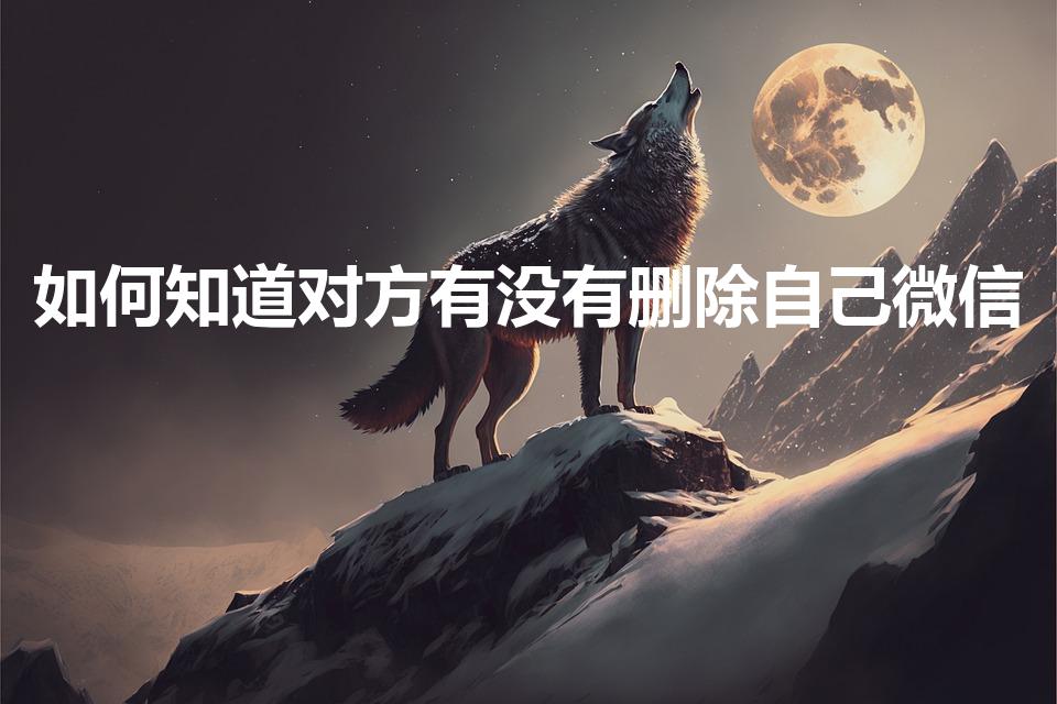 如何知道对方有没有删除自己微信