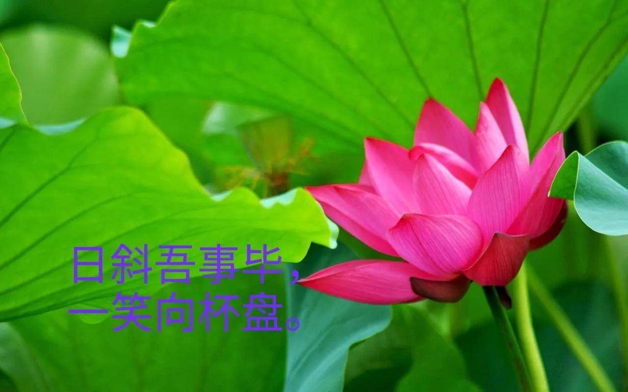 445f863b6ce8496f916802810a2e2898noop.image_ 445f863b6ce8496f916802810a2e2898noop.image_
