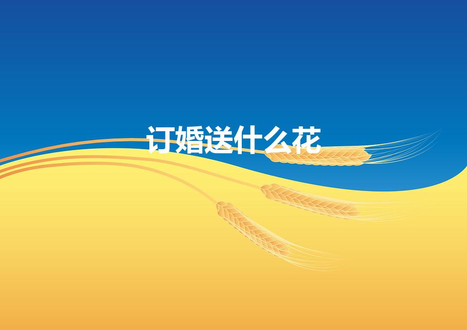 订婚送什么花（订婚送哪些花呢）