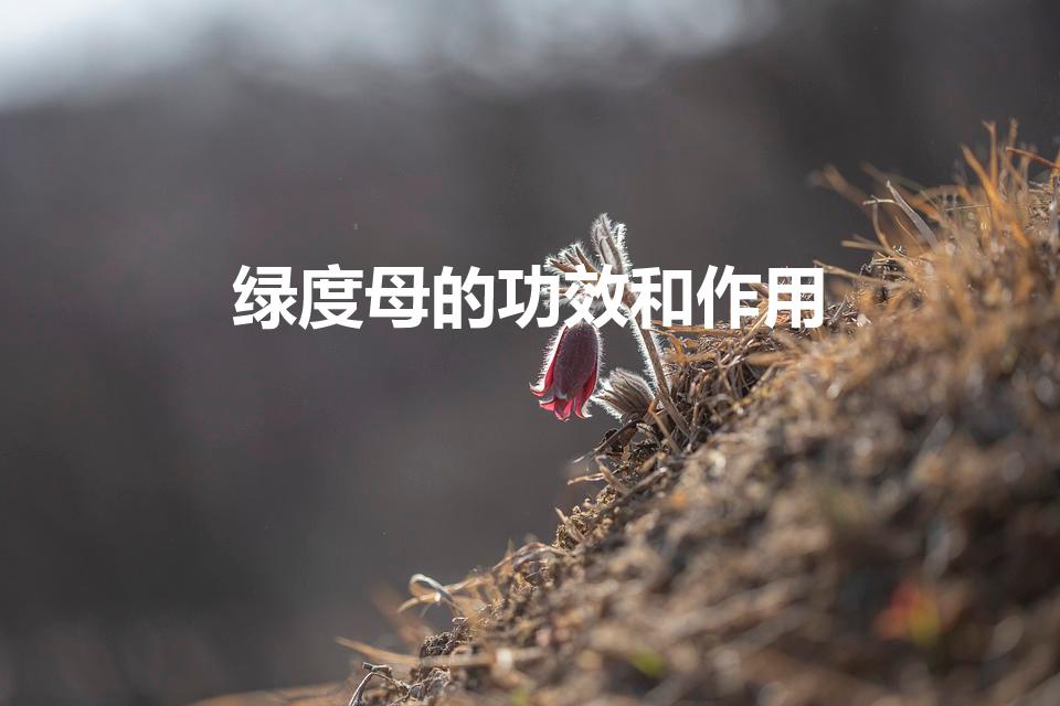 绿度母的功效和作用（请问绿度母心咒的功德和作用是什么）