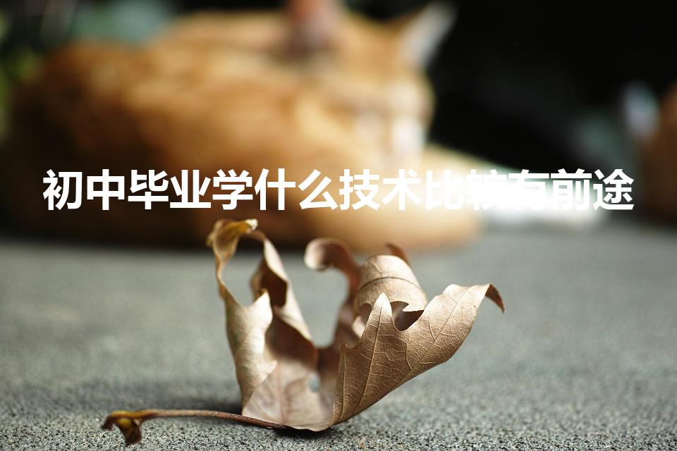 初中毕业学什么技术比较有前途（初中毕业学什么技术有出路）