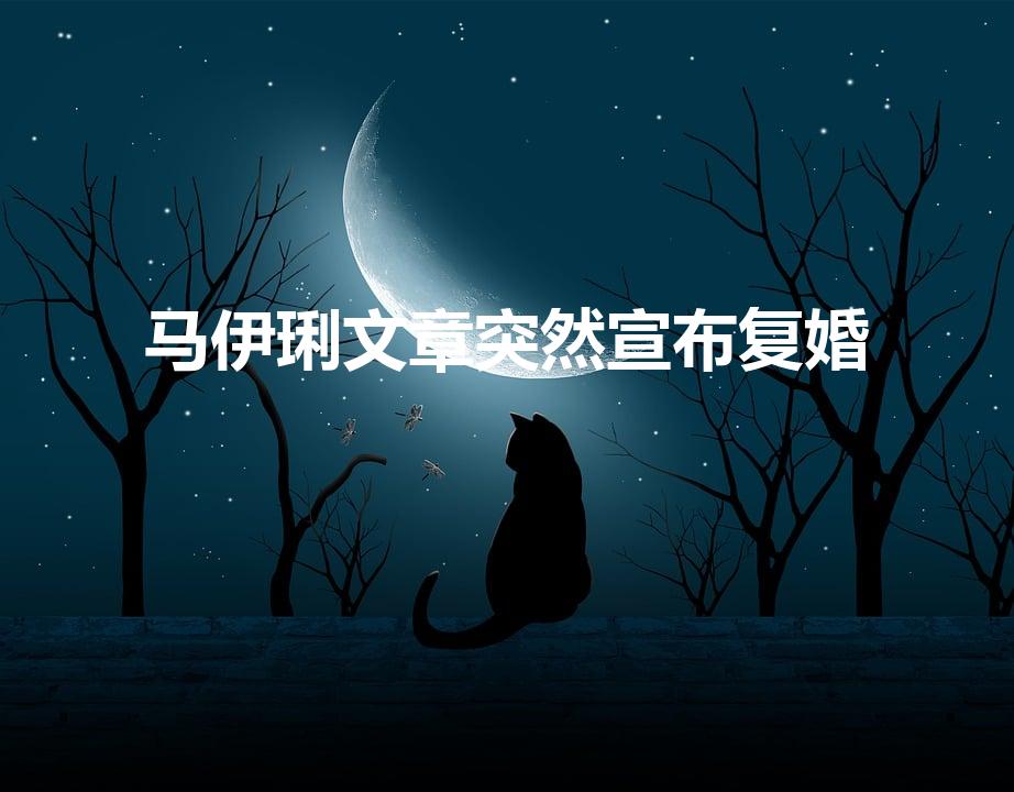 马伊琍文章突然宣布复婚（马伊_文章复婚是真的吗）