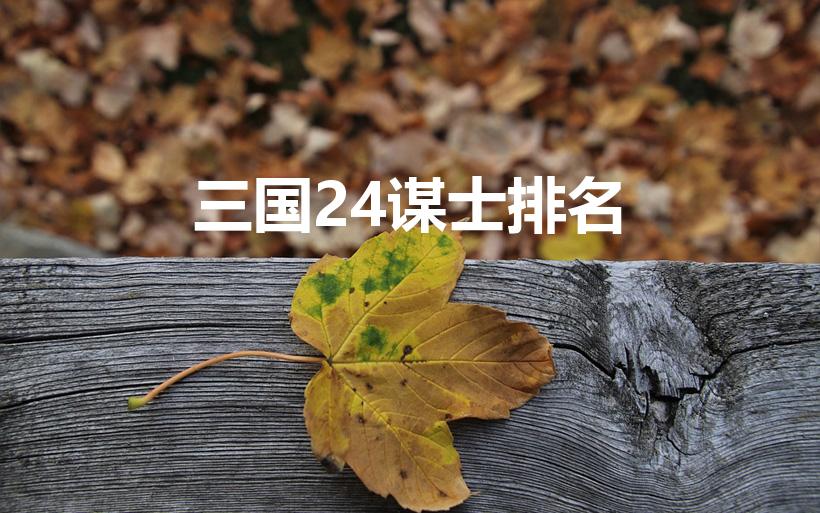 三国24谋士排名（三国24谋士排名顺口溜）