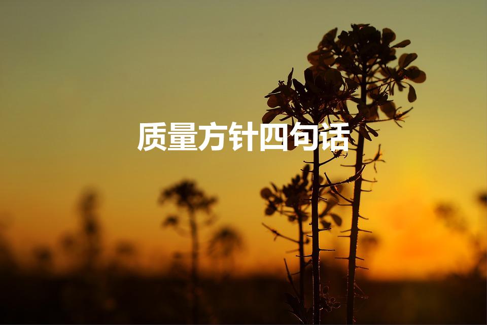 质量方针四句话（质量方针的基本要求）