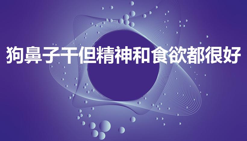 狗鼻子干但精神和食欲都很好（狗狗鼻子干但是有精神）