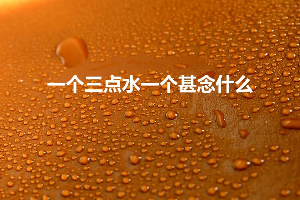 一个三点水一个甚念什么（"三点水一个甚字"念什么字）