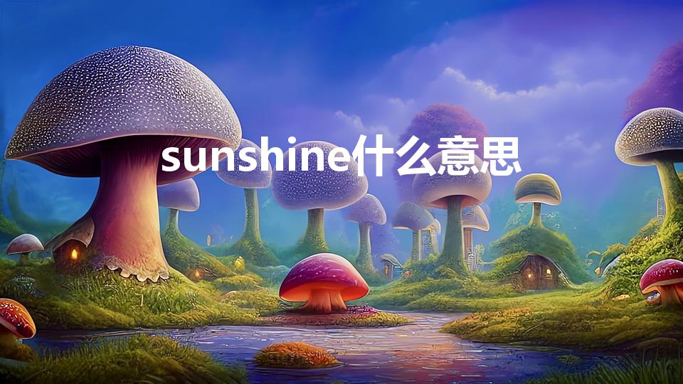 sunshine什么意思（Sunshine是什么意思）