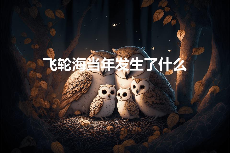 飞轮海当年发生了什么（飞轮海炎亚纶汪东城当年发生了什么）