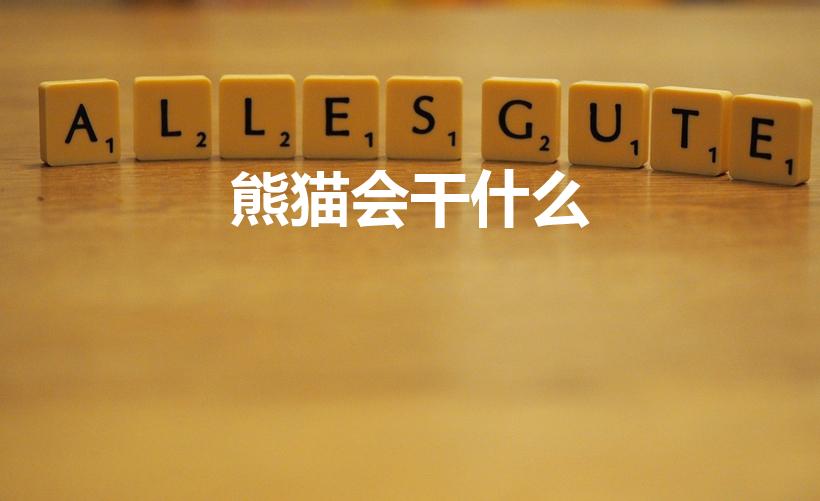 熊猫会干什么（熊猫喜欢干什么）