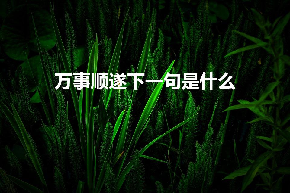万事顺遂下一句是什么（万事顺遂的下一句是什么）